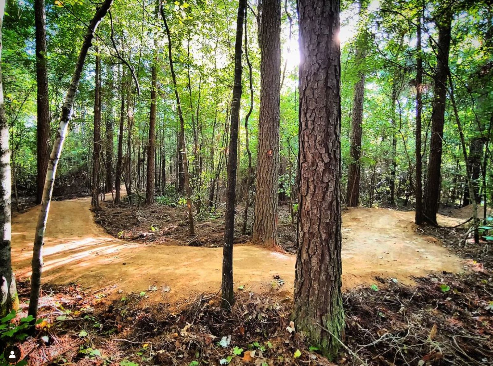 A winding dirt path stretches through a dense forest, surrounded by tall trees with green foliage. Sunlight filters through the leaves, illuminating the trail that curves gently into the distance. The ground is clear of debris, showcasing a well-maintained biking or hiking trail. Lakewoods Trail System mountain bike trail.