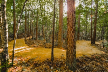Winding dirt path through a dense forest with tall trees and dappled sunlight filtering through the leaves. Lakewoods Trail System mountain bike trail.