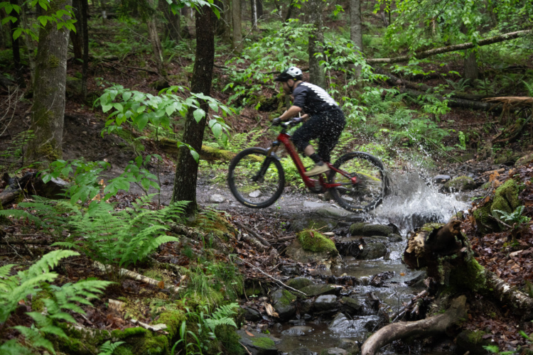 A mountain biker riding through a lush, green forest, splashing water as they traverse a rocky stream. Ferns and various vegetation surround the trail, creating a vibrant, natural setting.
