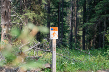 A trail sign indicating a bike path, featuring an orange bicycle icon on a white background, with surrounding forest vegetation and trees in the background. Orange Loop / EKG mountain bike trail.