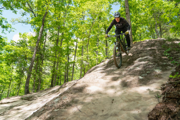 A mountain biker riding down a rocky slope in a lush, wooded area with bright green leaves and sunlight filtering through the trees.