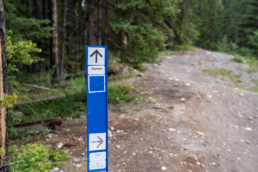 A blue trail sign in a forested area indicates direction for the "Odyssey" trail. The sign features arrows pointing straight and right, with additional labels underneath. Surrounding vegetation includes trees and underbrush, and the path is gravelly with visible stones. Odyssey Trail mountain bike trail.