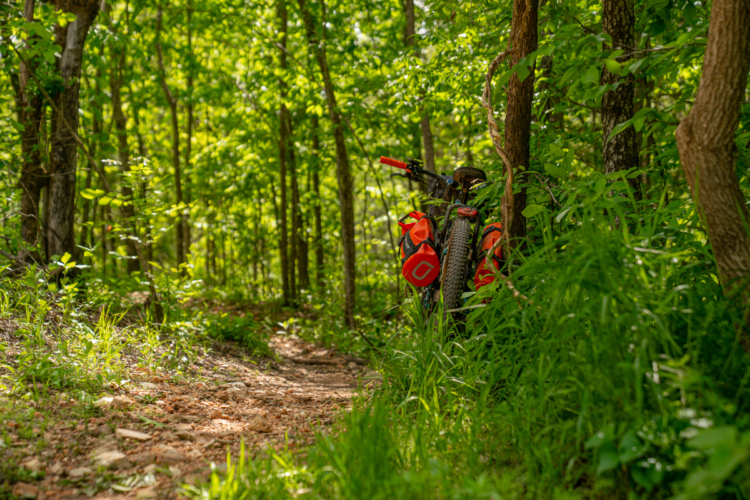 A mountain bike with orange panniers rests against a tree along a narrow, winding dirt path in a lush green forest. Sunlight filters through the leaves, casting dappled light on the trail and surrounding foliage.