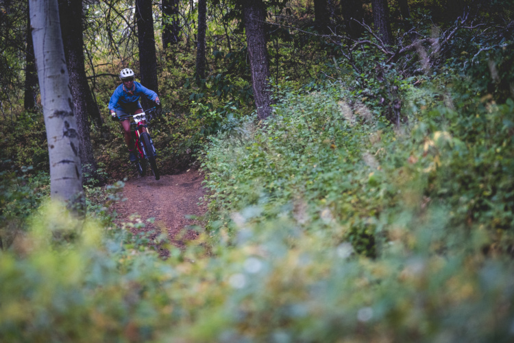 A person in a blue jacket and helmet riding a mountain bike along a narrow trail surrounded by trees and greenery.