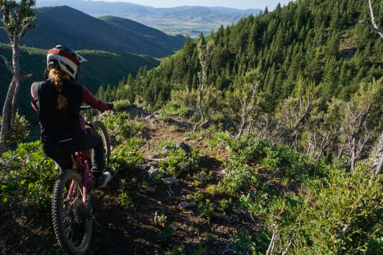 A mountain biker overlooking a lush valley, surrounded by dense greenery and rocky terrain. The biker is wearing a helmet and is positioned on a steep trail, preparing to descend into the valley below.
