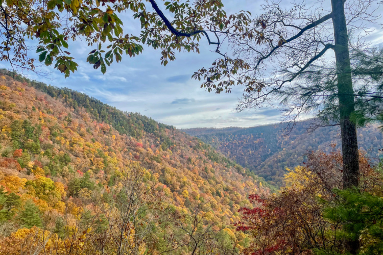 A picturesque view of a valley surrounded by mountains, displaying vibrant autumn foliage in shades of orange, yellow, and green. The scene is framed by tree branches at the top, with a clear sky and soft clouds visible. The landscape captures the beauty of fall in nature.