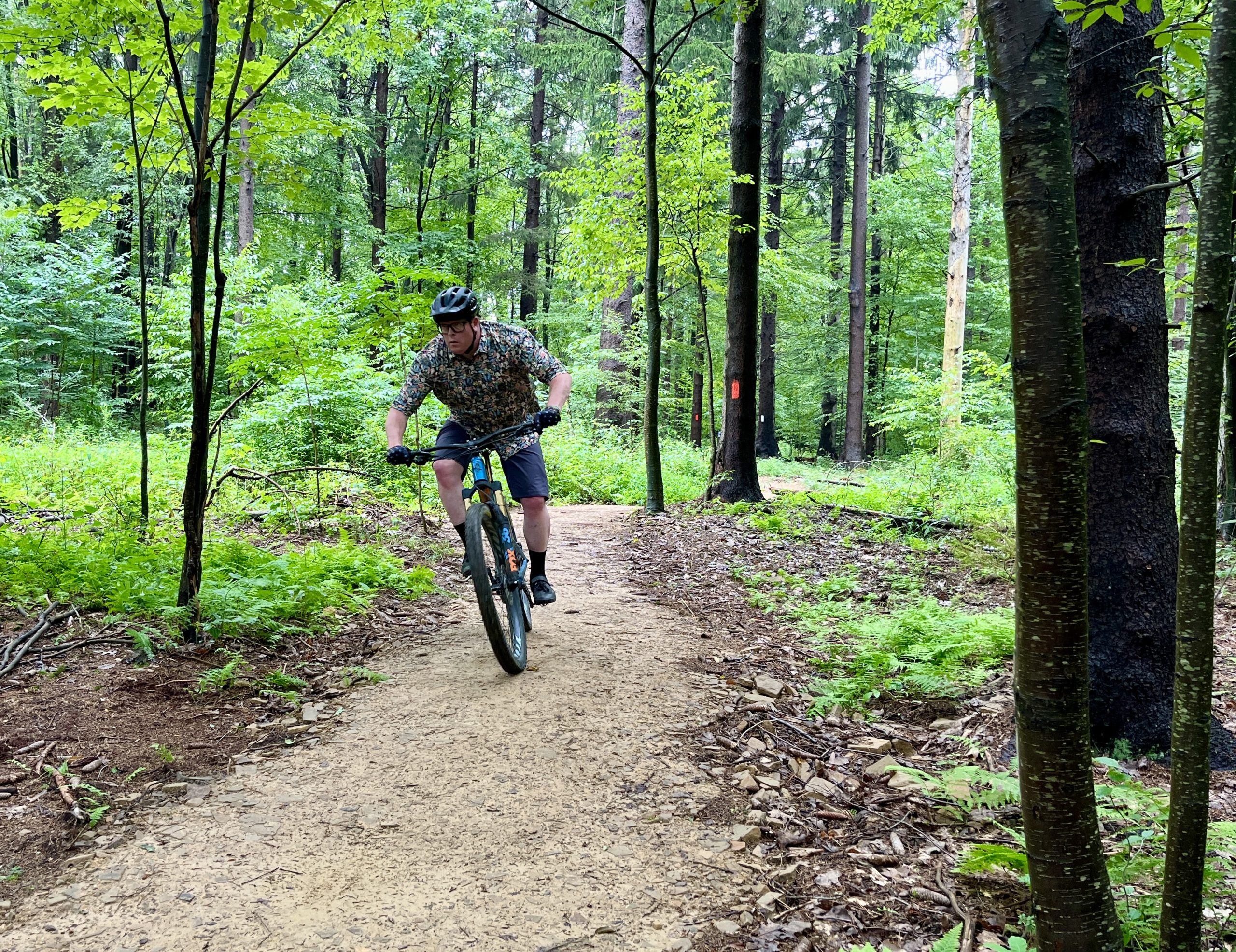 A person wearing a helmet and a floral-patterned shirt is riding a mountain bike along a dirt trail through a lush green forest. Surrounded by tall trees and ferns, they navigate a slight turn in the path. Margraff Plantation mountain bike trail.