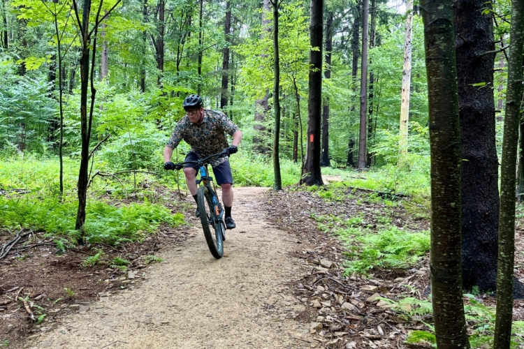 A person wearing a helmet and a patterned shirt rides a mountain bike along a dirt trail surrounded by lush green trees and ferns in a forest setting.
