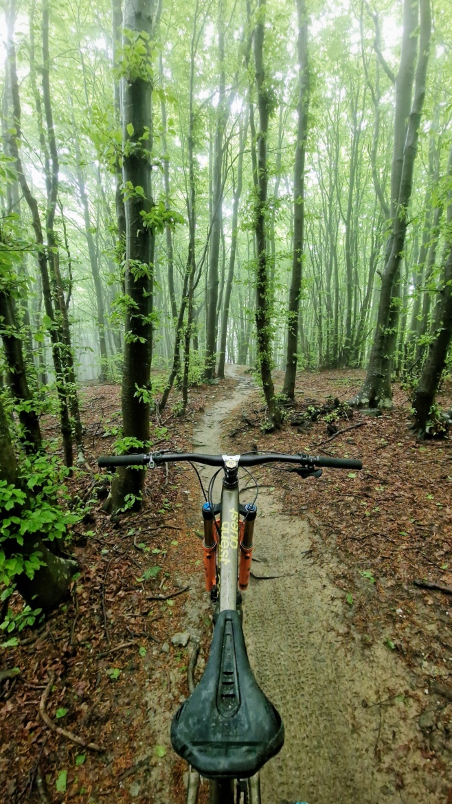 A view from the handlebars of a mountain bike positioned on a dirt trail winding through a misty forest filled with tall, green trees. The ground is covered in damp leaves and soil, with hints of fog creating an atmospheric feel.