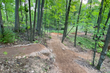 A winding dirt trail through a lush green forest with tall trees, showing a smooth riding path for mountain biking or hiking. The ground is a mix of earthy tones and scattered rocks, surrounded by vibrant greenery. Soft sunlight filters through the leaves, illuminating the path ahead. Timberland Hills mountain bike trail.