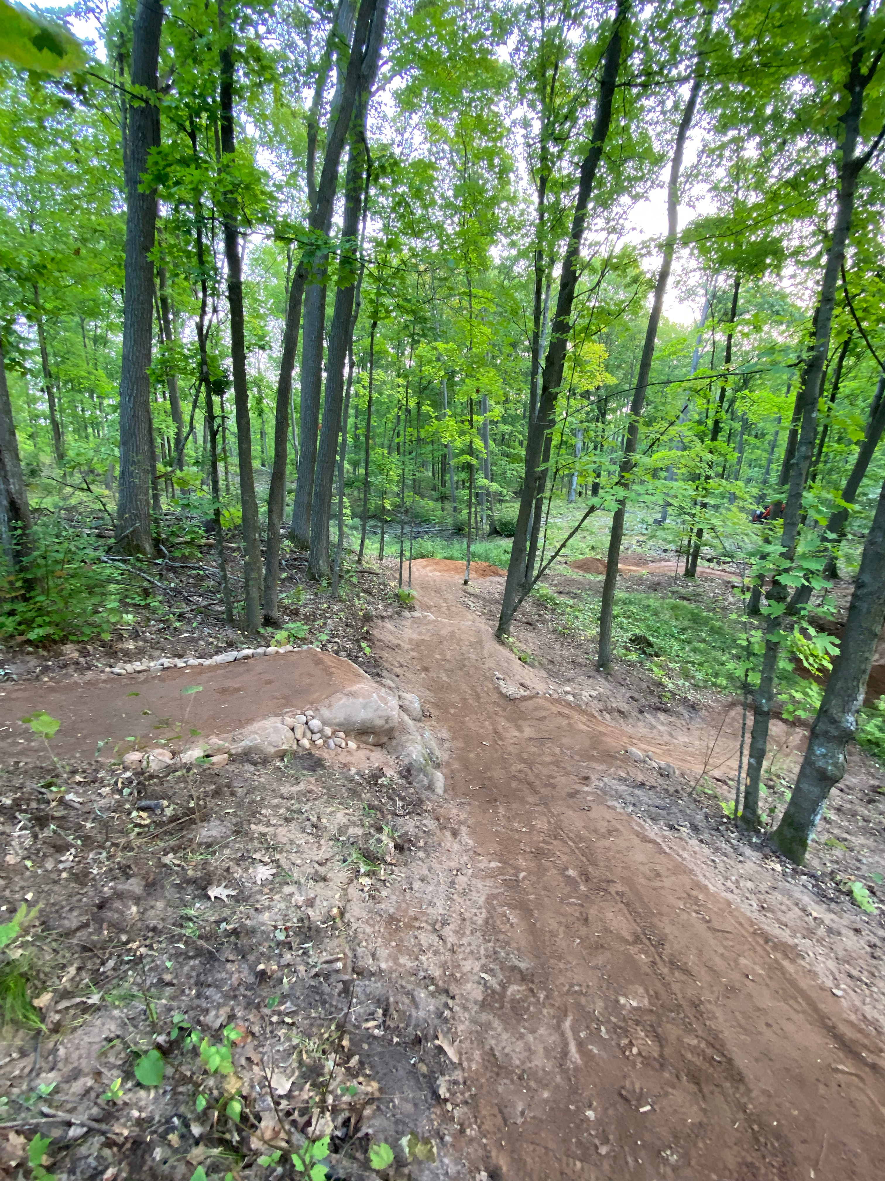 A winding dirt trail through a lush green forest with tall trees, showing a smooth riding path for mountain biking or hiking. The ground is a mix of earthy tones and scattered rocks, surrounded by vibrant greenery. Soft sunlight filters through the leaves, illuminating the path ahead. Timberland Hills mountain bike trail.