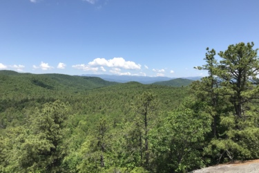 A panoramic view of lush green hills and valleys under a bright blue sky with scattered white clouds. Pine trees are visible in the foreground, while the distant mountains create a serene backdrop. Cedar Rock Trail #16 mountain bike trail.