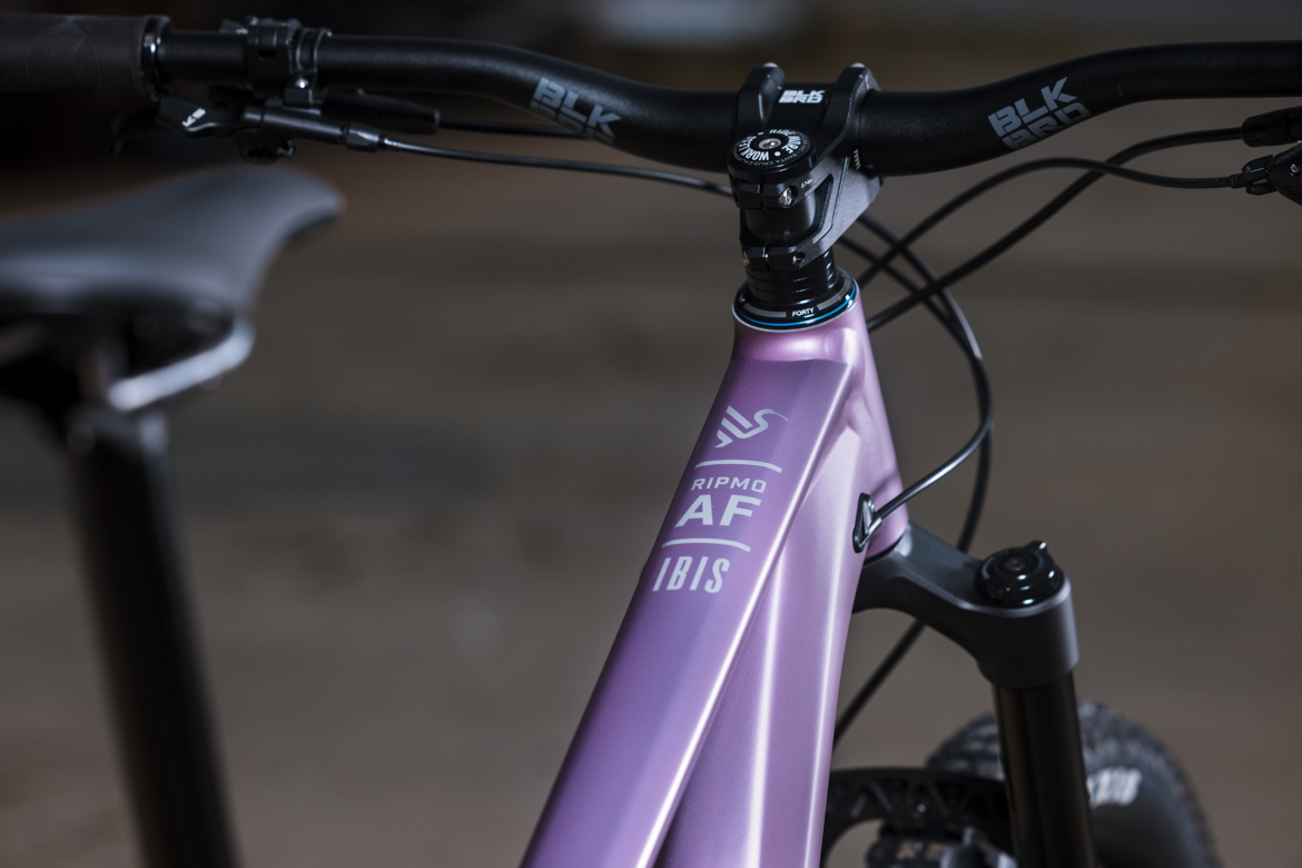 Close-up of a purple Ibis Ripmo AF mountain bike, showcasing the handlebars, stem, and top tube with branding details. The bike is displayed in a studio setting with a blurred background.