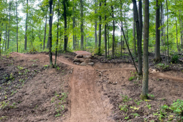 A dirt bike trail winding through a wooded area, featuring a slight incline and rocks protruding along the path. Lush green trees surround the trail, with scattered underbrush and leaves on the ground. The scene conveys a natural outdoor setting ideal for mountain biking or hiking. Timberland Hills mountain bike trail.