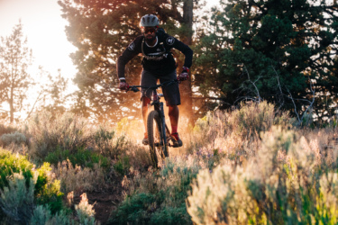 A mountain biker navigating a dirt trail surrounded by tall grasses and trees, with sunlight filtering through the foliage, creating a warm, golden glow and a sense of dynamic movement. Spence Mountain mountain bike trail.