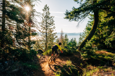 A mountain biker riding down a dirt trail through a lush forest, with sunlight filtering through the trees, creating a warm and vibrant atmosphere. The background features a scenic view of distant hills and a lake. Spence Mountain mountain bike trail.