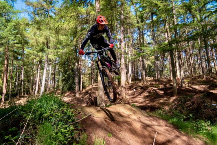 A mountain biker performing a jump on a dirt ramp in a forested area, surrounded by tall trees and greenery. The rider is wearing a helmet, gloves, and sports attire, showcasing an action-packed moment against a clear blue sky.