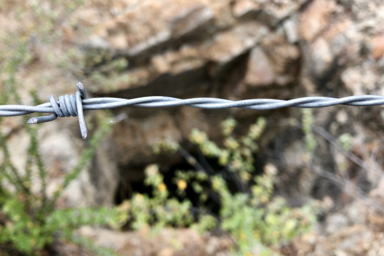 A close-up view of a twisted piece of barbed wire, with blurred green foliage and a dark opening in the background, suggesting a cave or hollow space in rocky terrain.