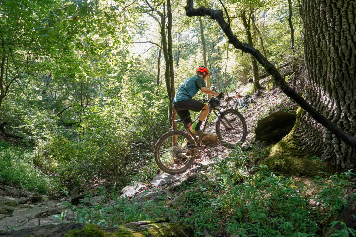 A mountain biker navigating a rocky trail in a lush forest, surrounded by green trees and sunlight filtering through the leaves. The cyclist is wearing a helmet and biking gear, showcasing an adventurous outdoor activity.