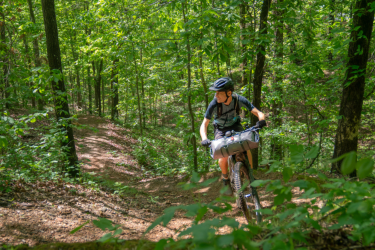 A mountain biker traverses a winding dirt trail surrounded by lush green trees in a forest setting. The biker, wearing a helmet and a backpack, leans slightly forward as they navigate the path. Sunlight filters through the leaves, creating a vibrant and lively atmosphere.