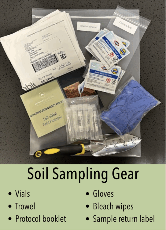 A flat lay image of soil sampling gear, including a trowel, vials, blue gloves, bleach wipes, a protocol booklet titled "California Biodiversity Project: Soil eDNA Field Protocols," and a sample return label, arranged on a black surface. A clear plastic bag labeled "Discard Bag" is also visible.