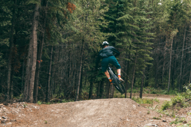 A mountain biker is mid-air above a dirt jump on a trail surrounded by dense trees. The biker is wearing a helmet and sporty attire, showcasing a dynamic pose as they perform a jump on their bicycle. The trail is winding and gravelly, typical for mountain biking terrains. Mount Harry Davis mountain bike trail.