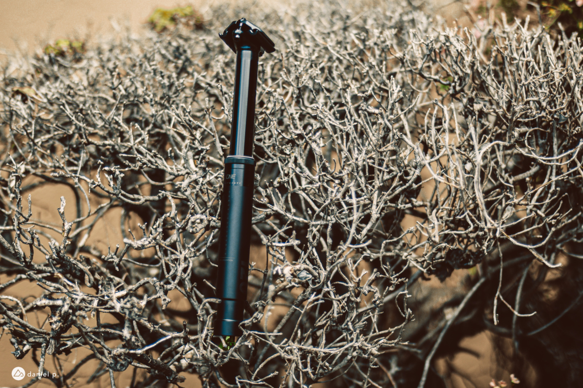 A black bicycle dropper post is partially embedded in a tangle of dry, twisted branches against a sandy background.