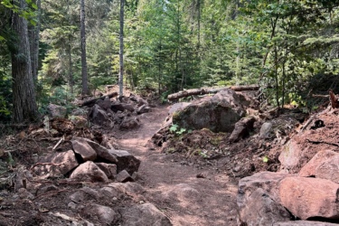 A winding dirt trail through a lush forest, flanked by large rocks and trees, with sunlight filtering through the leaves. Keweenaw Point Trail mountain bike trail.