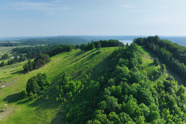 Aerial view of rolling green hills covered with lush trees under a clear blue sky, showcasing a scenic landscape with distant mountains and a body of water visible in the background.