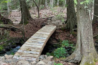 A wooden bridge arching over a small stream in a forested area, surrounded by tall trees and rocky terrain. The ground is covered with fallen leaves and greenery, creating a tranquil natural scene. Keweenaw Point Trail mountain bike trail.