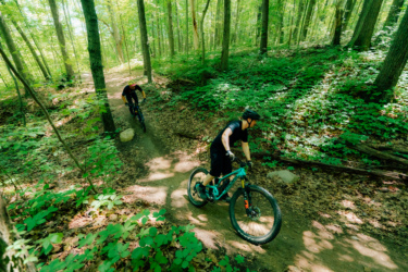 Two mountain bikers navigate a winding dirt trail through a lush green forest. The scene is illuminated by sunlight filtering through the trees, highlighting the vibrant foliage and fallen leaves along the path. DTE Energy Foundation Trails mountain bike trail.