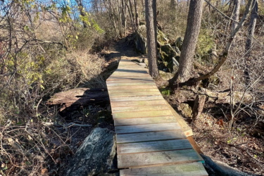 A wooden footbridge extends over rocky terrain, surrounded by bare trees and underbrush. The sky is clear and blue, indicating a sunny day. The bridge is made of planks and leads into a natural, wooded area. The Local mountain bike trail.