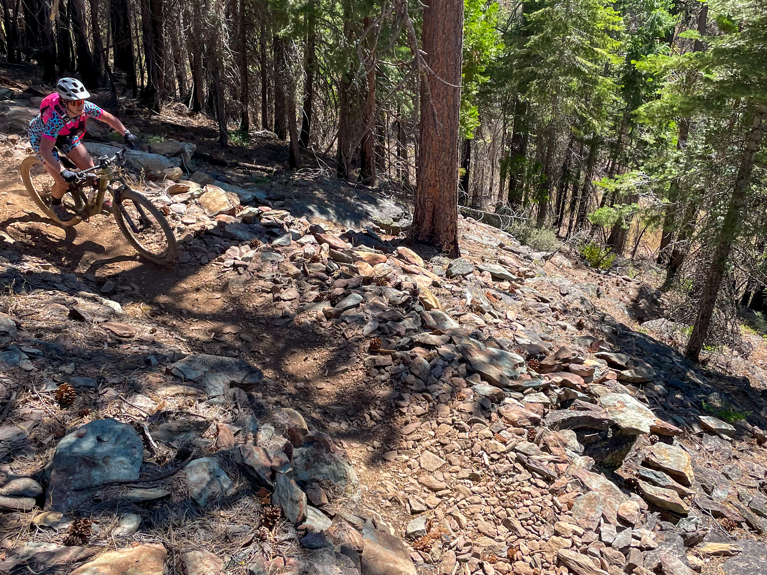 A mountain biker navigating a rocky trail surrounded by trees. The rider is leaning into a turn, showcasing agility and control on a challenging terrain. Sunlight filters through the forest, illuminating the rocks and dirt path. Tollgate Trail mountain bike trail.