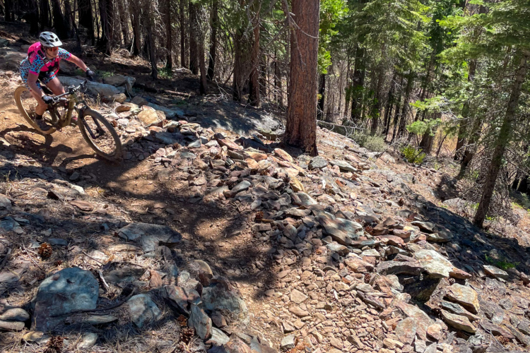 Mountain biker navigating a rocky downhill trail surrounded by trees in a forest. The rider is wearing cycling gear and a helmet, and the sun casts shadows on the rugged terrain.