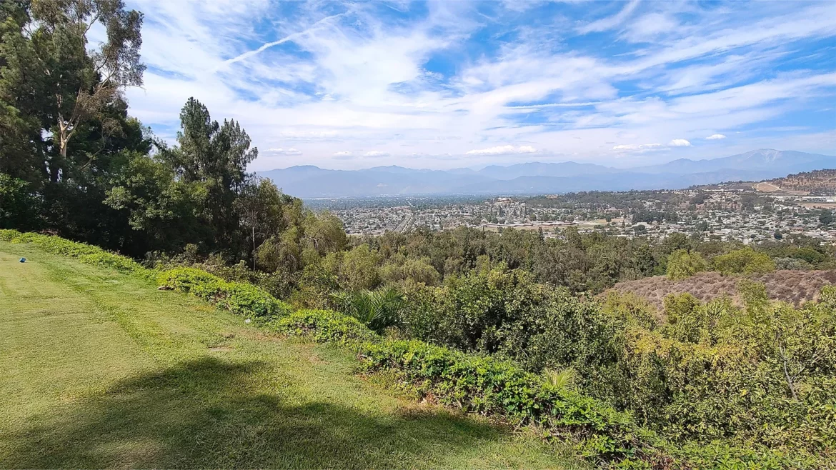 A panoramic view of a lush green hillside overlooking a sprawling city with distant mountains under a partly cloudy blue sky.