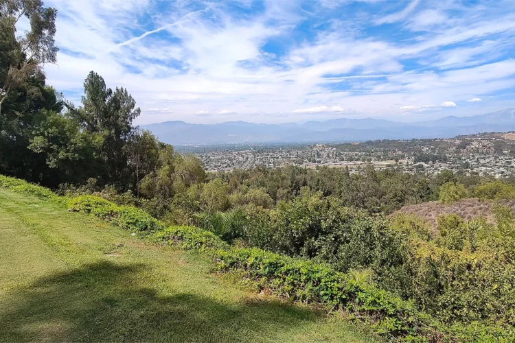 A panoramic view of a lush green hillside overlooking a sprawling city with distant mountains under a partly cloudy blue sky.