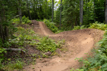 A winding dirt path through a lush green forest, featuring two prominent berms surrounded by trees and vegetation. The scene captures a natural trail that is likely used for biking or hiking. East Bluff Bike Park mountain bike trail.