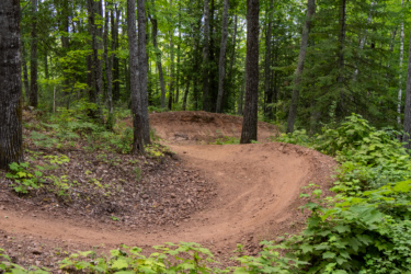 Winding dirt trail surrounded by lush green trees and underbrush, ideal for mountain biking or hiking, with sunlight filtering through the canopy. East Bluff Bike Park mountain bike trail.