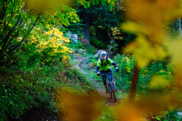 A mountain biker in a bright green shirt rides on a dirt trail surrounded by lush greenery and autumn-colored foliage. The scene captures the rider in motion as they navigate the path through a wooded area. High Point mountain bike trail.