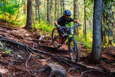A cyclist navigating a rough, forested mountain bike trail covered in tree roots and surrounded by greenery. The rider is wearing a helmet and protective gear, focusing on maneuvering the bike down the uneven terrain. Silver Mountain Bike Park mountain bike trail.