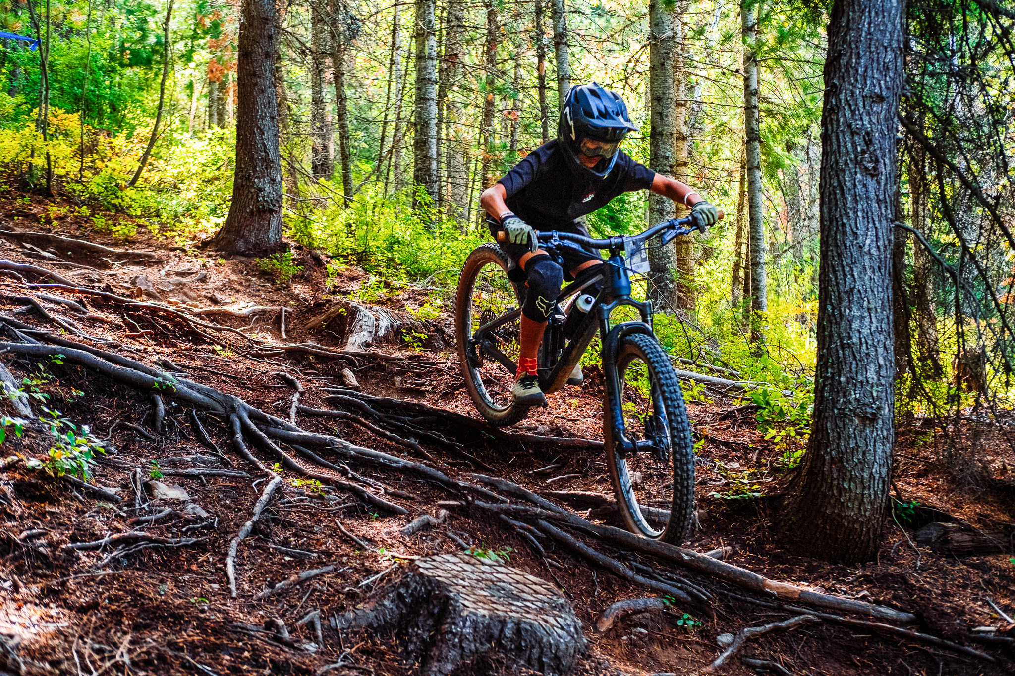 A cyclist navigating a rough, forested mountain bike trail covered in tree roots and surrounded by greenery. The rider is wearing a helmet and protective gear, focusing on maneuvering the bike down the uneven terrain. Silver Mountain Bike Park mountain bike trail.