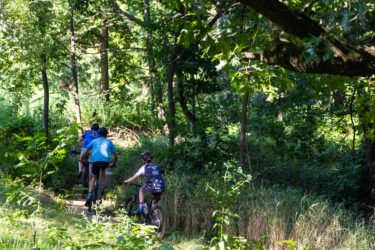 Three cyclists riding along a narrow dirt trail surrounded by lush greenery in a forested area. The scene captures a sense of adventure as the cyclists navigate through the vibrant landscape on a sunny day. Federer’s Folly mountain bike trail.
