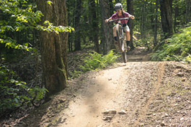 A mountain biker performing a jump on a dirt trail in a lush forest, surrounded by tall trees and vibrant green foliage. The cyclist is airborne, showcasing action and excitement in a natural outdoor setting. Mont-Sainte-Anne mountain bike trail.