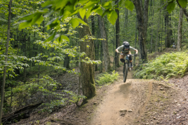 A mountain biker catching air while jumping off a dirt ramp on a forest trail, surrounded by lush green trees and foliage. Mont-Sainte-Anne mountain bike trail.