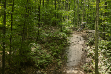 A mountain biker navigating a rocky trail through a lush green forest. The rider leans into a turn on a sunlit section of the path, surrounded by trees and ferns. Empire 47 mountain bike trail.