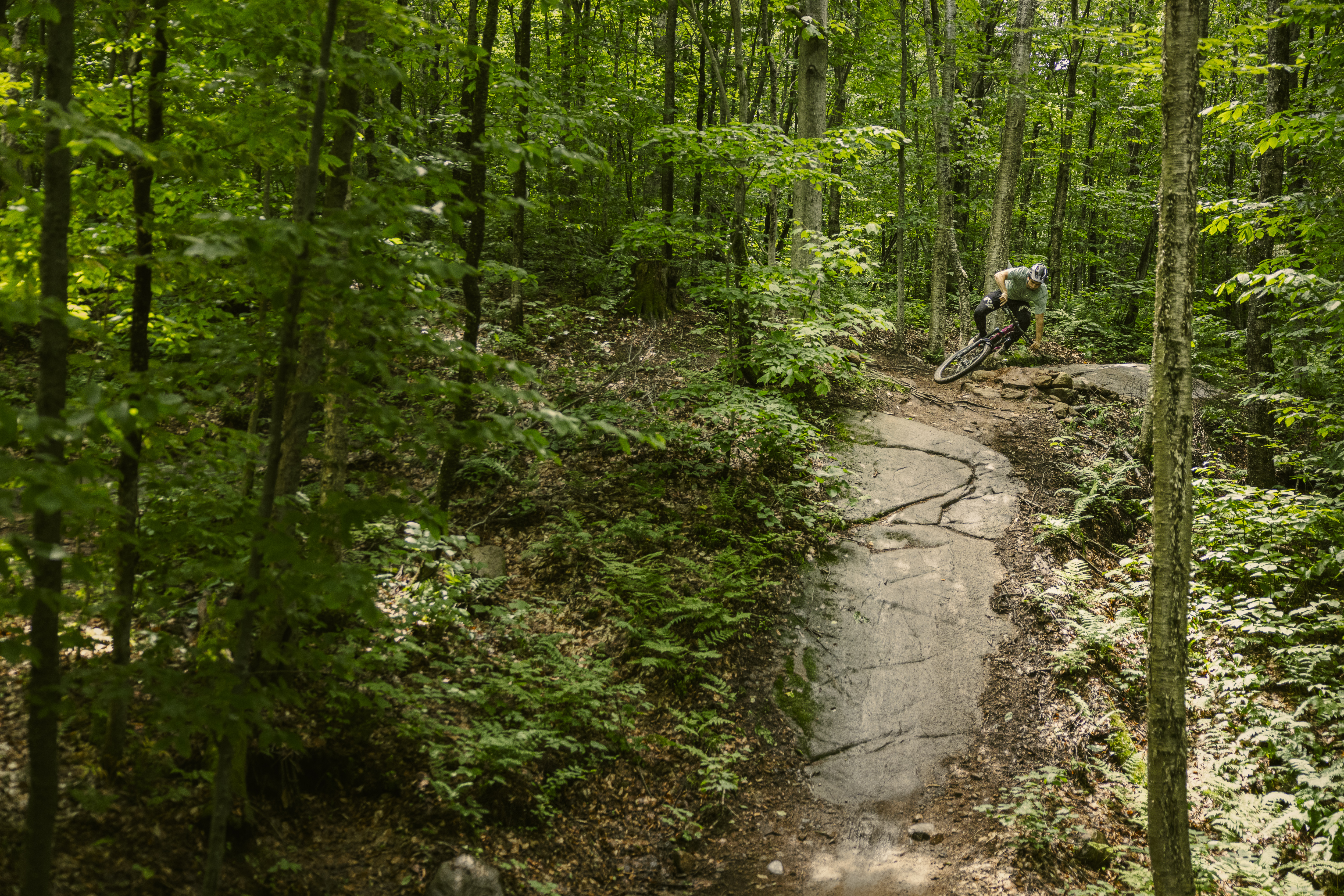 A mountain biker navigating a rocky trail through a lush green forest. The rider leans into a turn on a sunlit section of the path, surrounded by trees and ferns. Empire 47 mountain bike trail.