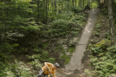 Two mountain bikers navigate a forest trail, with one biker executing a jump off a ramp while the other leans into a turn on a dirt path surrounded by lush green trees. A stone wall is visible in the foreground. Empire 47 mountain bike trail.