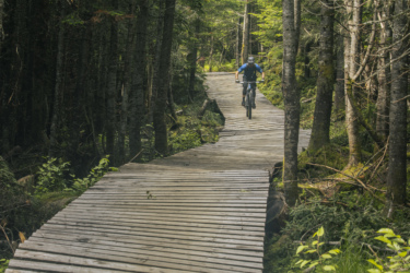 A mountain biker riding along a winding wooden pathway through a dense forest, surrounded by tall trees and greenery. The scene captures the natural beauty of the outdoors and the thrill of cycling in nature. Le Massif de Charlevoix mountain bike trail.