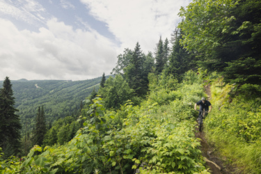 A mountain biker navigating a narrow dirt trail through lush greenery, surrounded by tall trees and mountainous terrain under a partly cloudy sky. Le Massif de Charlevoix mountain bike trail.
