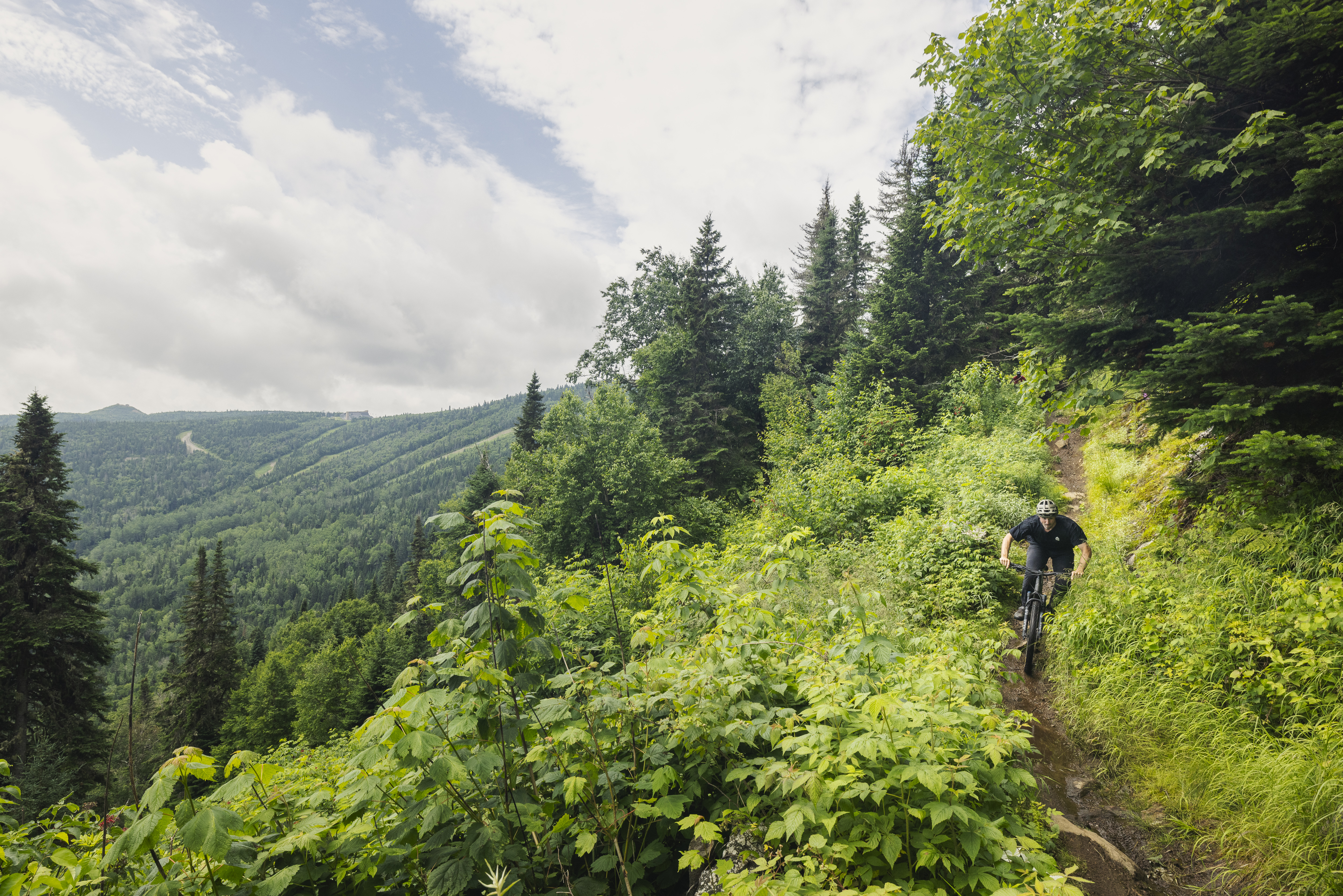 A mountain biker rides along a dirt trail surrounded by lush green foliage and trees, with a scenic view of rolling hills and a partly cloudy sky in the background.